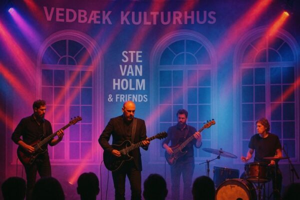 STE VAN HOLM & FRIENDS