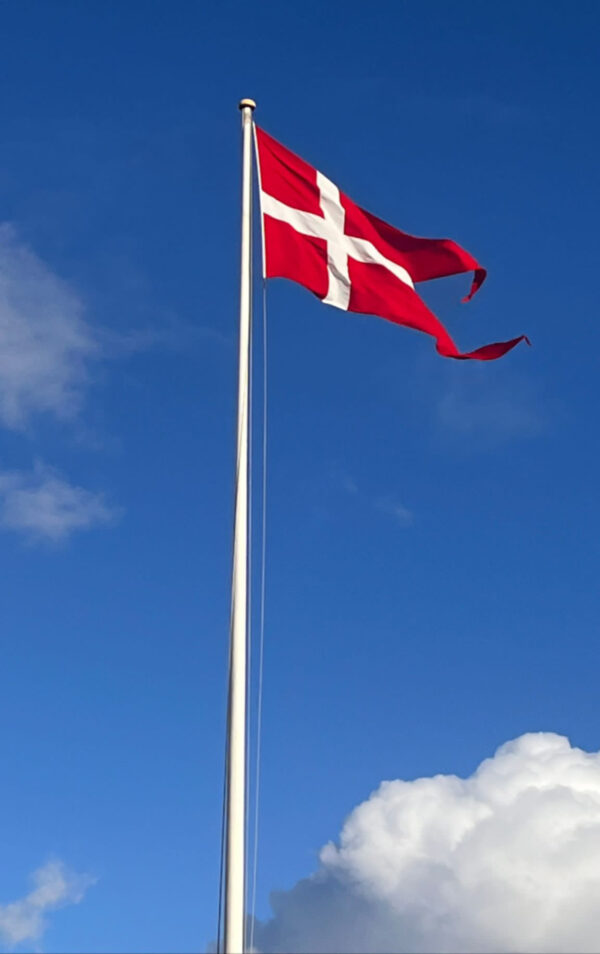 Danmarks Befrielse 80 års fejring